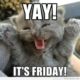 1515944199 161 20 Happy Memes That Scream Its Friday Volume 2