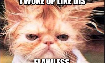 1516062701 693 20 Funniest I Woke Up Like This Memes