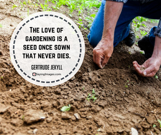 love of gardening quotes