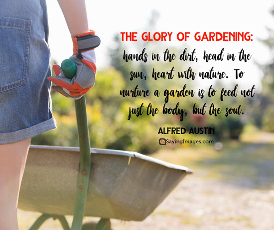 glory of gardening quotes