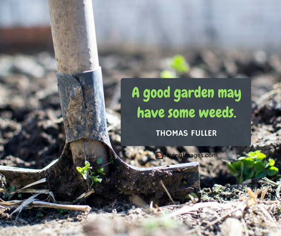thomas fuller gardening quotes