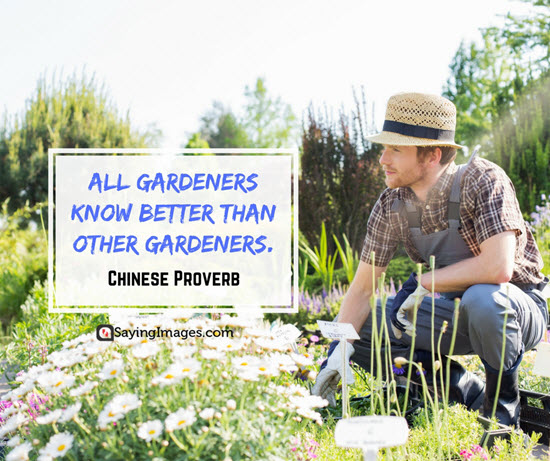 chinese proverb gardening quotes