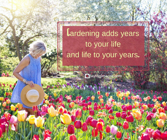 gardening life quotes