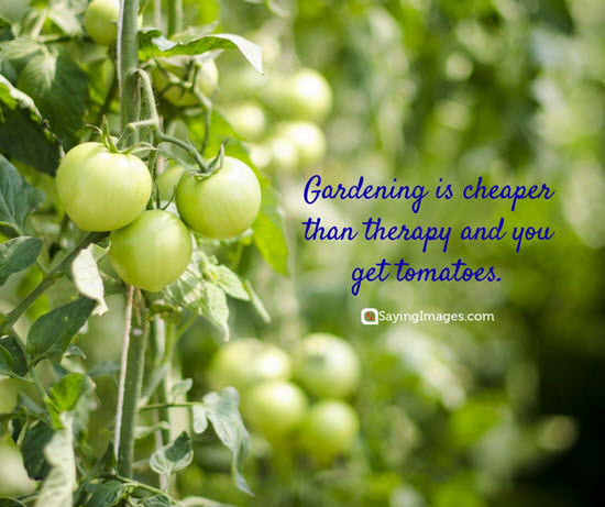 cheaper than therapy gardening quotes