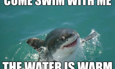 1516929055 907 25 Swimming Memes That Are So True