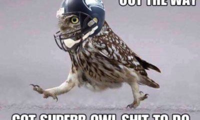 1517268802 935 22 Super Bowl Memes For All Football Fans Out There