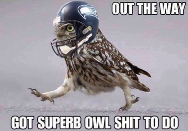 1517268802 935 22 Super Bowl Memes For All Football Fans Out There