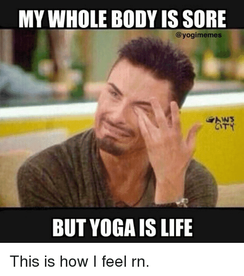 20 Yoga Memes That Are Honestly Funny - Word Porn Quotes, Love Quotes, Life  Quotes, Inspirational Quotes