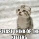 1518852378 974 20 Cute Cat Memes That Will Put You In A Good Mood