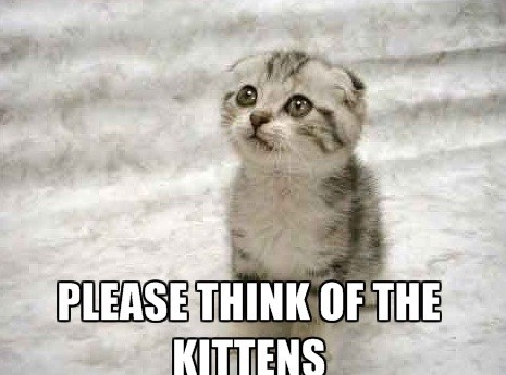 1518852378 974 20 Cute Cat Memes That Will Put You In A Good Mood
