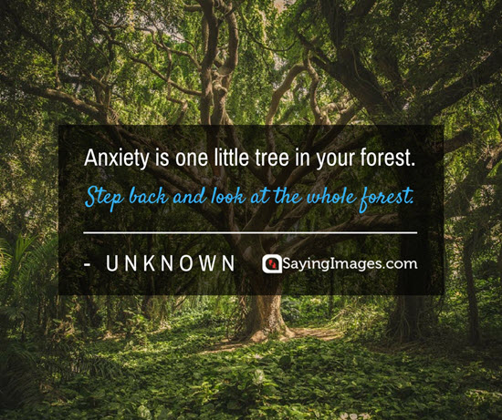 anxiety quotes unknown