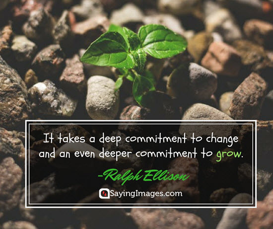 ralph ellison commitment quotes