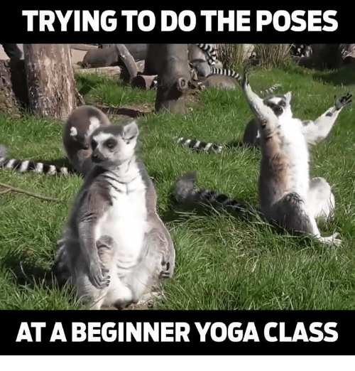 18 Funniest Yoga Memes For International Day Of Yoga I Can Has