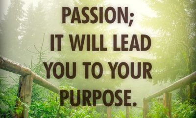 Follow Your Passion