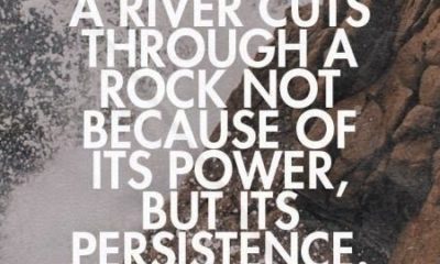 Persistence Is The Key