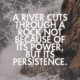 Persistence Is The Key