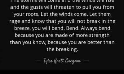 The Storms Will Come Tyler Knott Gregson Daily Quotes Sayings Pictures