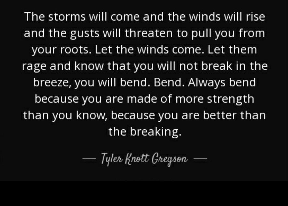 The Storms Will Come Tyler Knott Gregson Daily Quotes Sayings Pictures