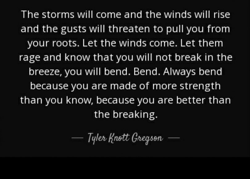 The storms will come and the winds will rise and the gusts will threaten to pull you from your roots. Let the winds come. Let them rage and know that you will not break in the breeze, you will bend. Bend. Always bend because you are made of more strength than you know, because you are better than the breaking. - Tyler Knott Gregson