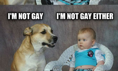 1521232512 682 22 Funny Gay Memes You Shouldnt Miss