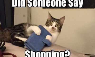 1521470032 111 22 Shopping Memes That Are Just Too Hilarious