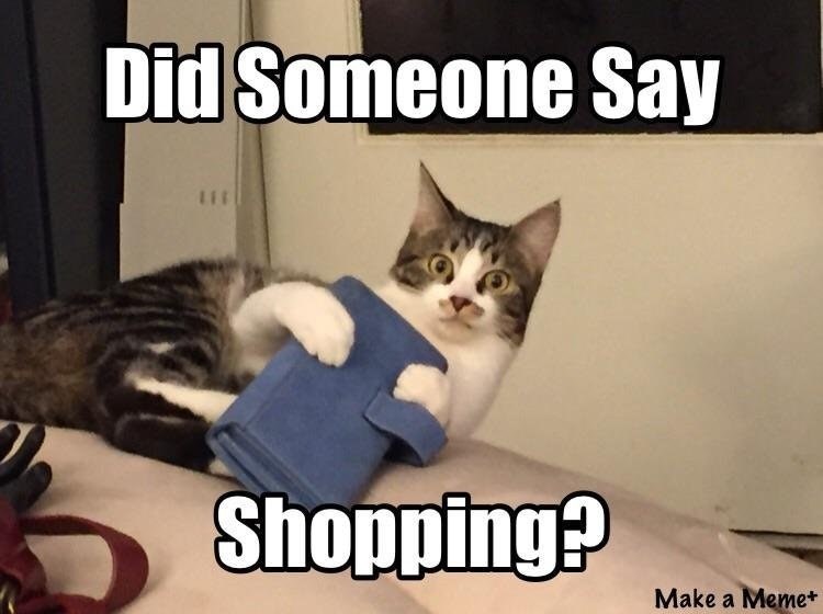 1521470032 111 22 Shopping Memes That Are Just Too Hilarious