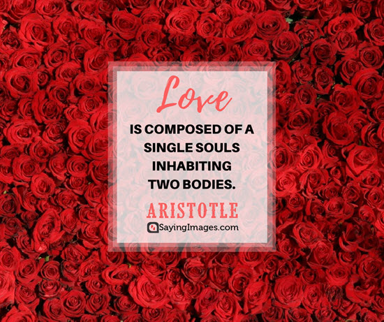 aristotle love quotes