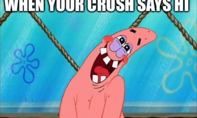 1521782309 380 20 Patrick Star Memes That Are Making People Laugh So Hard