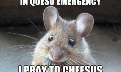 1521841421 593 18 Prayer Memes That Are Awkwardly True