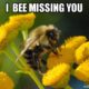 1522274438 10 20 Entertaining Bee Memes You Just Cant Ignore