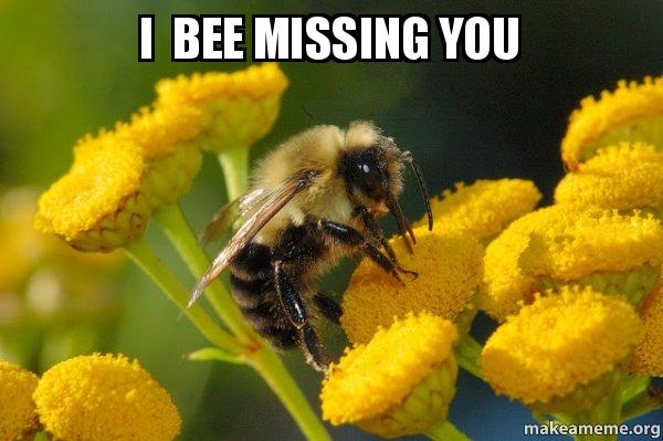 1522274438 10 20 Entertaining Bee Memes You Just Cant Ignore