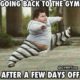 22 Working Out Memes That Will Make Everyone In The Gym Laugh Hard