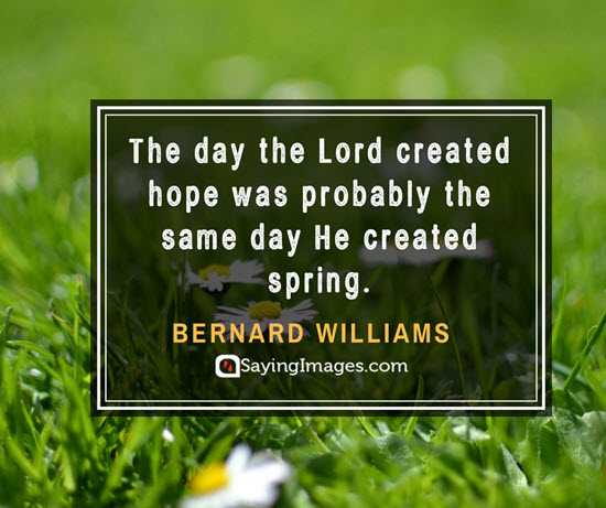 bernard williams lord quotes