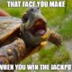 1523657761 519 20 Turtle Memes Thatll Make Your Day Better