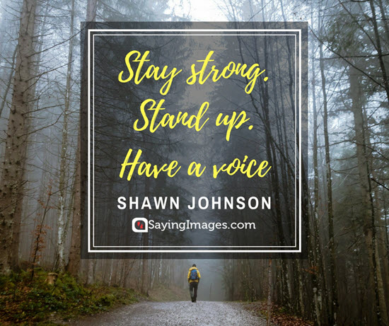 shawn johnson stand up quotes