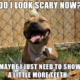 1524580854 825 25 Pit Bull Memes Youll Find Too Cute