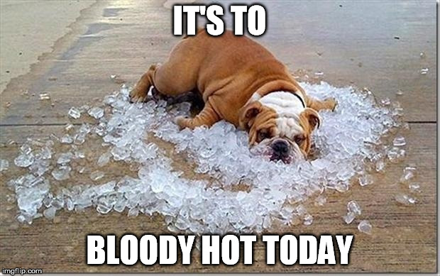 1524624373 860 22 Hot Weather Memes Thatll Help You Cool Down