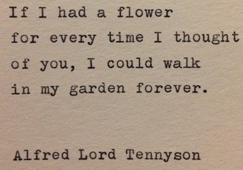 garden-unique-love-quotes