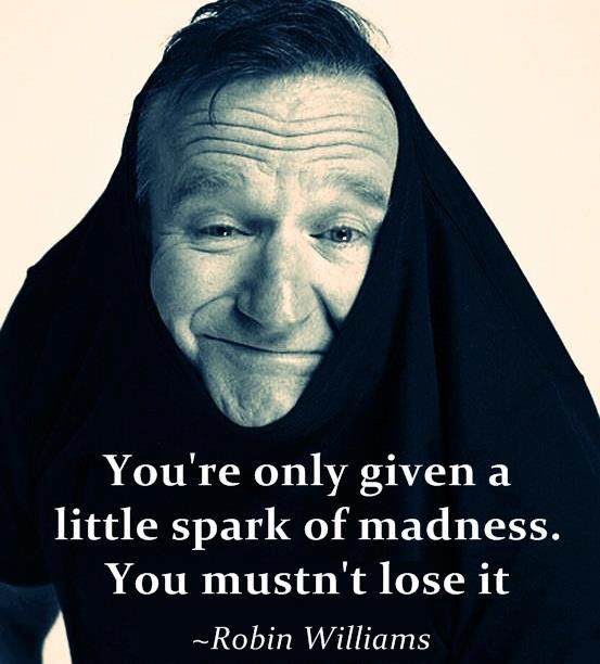 Robin Williams Quote on Madness