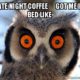 1524842697 273 20 Coffee Memes That’ll Wake You Up