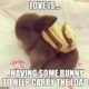 1524958941 685 20 Cute Love Memes That’ll Melt Your Heart