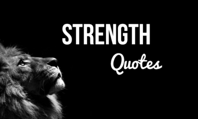 1525029312 150 Quotes About Strength And Being Incredibly Strong