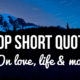 1525066632 Best 275 Short Quotes Inspirational Amp Funny On Love Amp Life