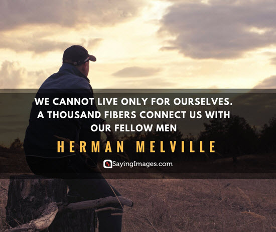herman melville unity quotes