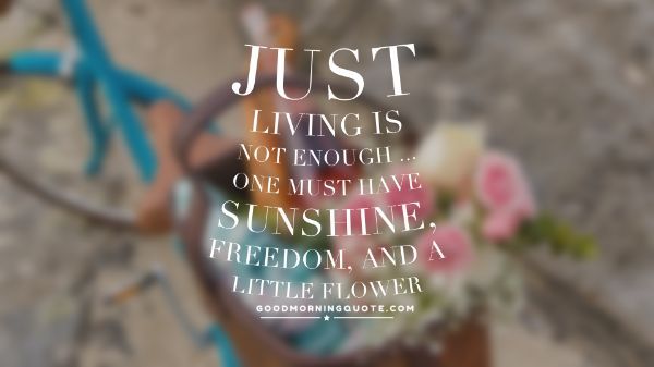 Summer Flower Quotes