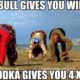 1525933568 726 15 Funniest Vodka Memes You’ll See Today