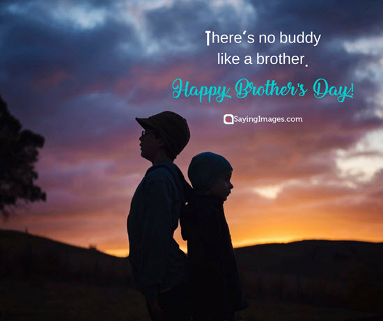 20 Fun And Loving Happy Brother S Day Quotes And Messages Word