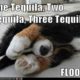 1526952215 137 17 Tequila Memes That’ll Make Your Day