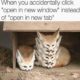 1527169609 178 25 Cute Animal Memes To Start Your Day With A Smile