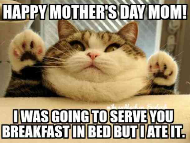 1527416127 857 15 Mother’s Day Memes That’ll Make Everyday Special